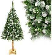 Albero di Natale su tronco di pino 180 cm