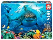 Puzzle White Shark Educa (500 pcs)