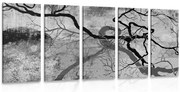 Quadri 5 pezzi – Alberi surrealisti in bianco e nero