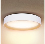 Brilagi -Luce LED dimmerabile LARIOS LED/48W/230V 3000-6500K ø 39 cm white+RC