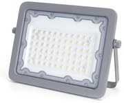 Faro proiettore Led 50W Grigio da esterno IP65 Bianco freddo 6500K Aigostar