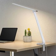 Prios Lampada LED da tavolo Tamarin, altezza 40 cm, bianco, dimmerabile