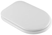 Sedile wc originale per water bidet combinato per disabili e anziani