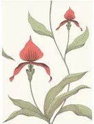 Cole & Son Carta da parati Orchid - Red on White