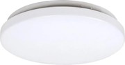 Rabalux 3338 - Plafoniera LED ROB LED/20W/230V