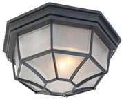 Plafoniera rustica grigio scuro IP44 - BRI L