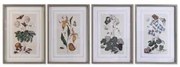 Quadro DKD Home Decor Abete Cristallo 50 x 65 x 2,5 cm 50 x 2,5 x 65 cm 50 x 2,5 x 70 cm Fiori (4 Pezzi)