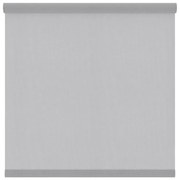 Tessuto per tende a rullo filtrante INSPIRE Canberra grigio / argento 177 x 250 cm