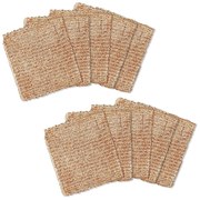 Panni in set da 10 - Maximex