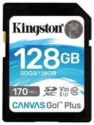 128GB SDXC CANVAS GO PLUS 170R