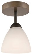 Lampadario a soffitto ADRIANO 1xE27/60W/230V