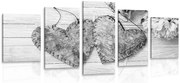 Quadri 5 pezzi – Peonie e cuori di betulla in bianco e nero