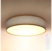 Brilagi - Lampada da soffitto dimmerabile CARMEN LED/48W/230V 3000-6500K + DO