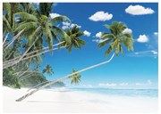 Stampa su tela Palme, multicolore 100 x 140 cm