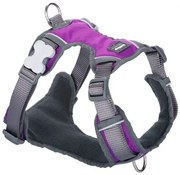 Imbracatura per Cani Red Dingo Dingo 25-36 cm 31-43 cm Viola XS