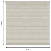 Tessuto per tende a rullo filtrante INSPIRE Darwin beige 117 x 250 cm