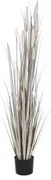 Pianta Decorativa DKD Home Decor Juncus (45 x 45 x 150 cm)