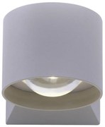 Paul Neuhaus 9441-21 - Applique LED da esterno TIMO 2xLED/2W/230V IP54