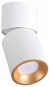 Luce Spot NIXA 1xGU10/10W/230V bianco/oro