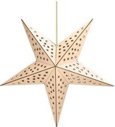 Solight 1V293 - Decorazione natalizia a LED 20xLED/2xAA, stella beige con luce bianca calda