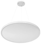 Pannello LED Rotondo a Sospensione 50W Slim CCT Ø600mm IP20 - Bianca Colore Bianco Variabile CCT