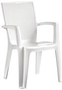 Sedia da giardino con braccioli Giava NEW GARDEN, 4 pezzi, struttura e seduta in polipropilene bianco