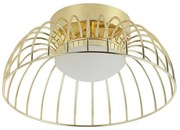 Plafoniera LED BETSY LED/12W/230V Ø 25 cm dorata