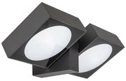 Rabalux 77101 - Applique a LED da esterno TELDE 2xLED/7W/230V IP54 antracite
