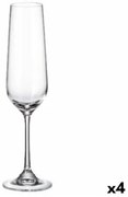 Set di Bicchieri Bohemia Crystal Sira champagne 200 ml 6 Unità 4 Unità