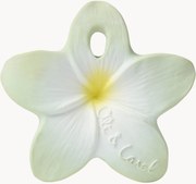 Massaggiagengive fatto a mano Bali the Flower