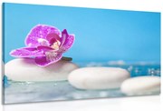 Quadro su tela – Orchidea e pietre Zen