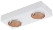 Eglo 39374 - Plafoniera LED RONZANO 2xLED/3,3W/230V