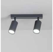 Brilagi - Faretto SELE 2xGU10/30W/230V antracite