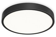 Plafoniera Contemporanea Ray Metallo Nero Led Integrato 44W 3000K Ip44