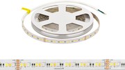 Striscia LED Professionale RGB+CCT Multicolore 24V 20W/m - IP20 - 5 metri