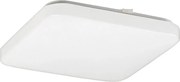 Rabalux 2287 - Plafoniera LED ROB LED/32W/230V quadrata
