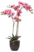 Pianta artificiale senza vaso Phalaenopsis in pvc colore blu H 110