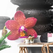 Carta da parati – Orchidea e pietre Zen su sfondo bianco