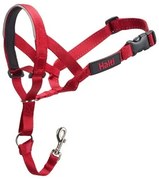 Collari da addestramento per cani Company of Animals Halti Museruola (40-54 cm)