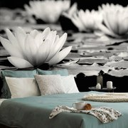 Carta da parati – Fiore di loto bianco e nero