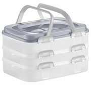 Box da picnic 3 piani con manici/grigio