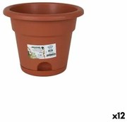 Vaso con Piatto Dem Greentime Marrone 20 x 20 x 16 cm (12 Unità)