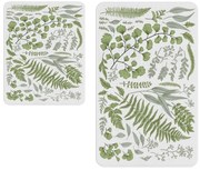 Tappetini da bagno bianco-verde in set di 2 pezzi - Oyo Concept