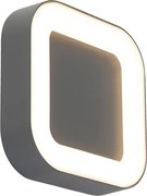 Lampada da parete e soffitto grigia quadrata IP54 - Ariel