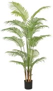 Pianta Decorativa Poliuretano Cemento Areca 180 cm