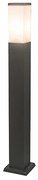 Lampada da esterno intelligente grigio scuro 80 cm incl. Wifi P45 - Malios
