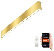 Immax NEO 07137-G - LED SMART Lampada dimmerabile LINEA LED/40W/230V + +TC 76 cm