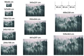 Carta da parati – Pittura giapponese del cielo in bianco e nero