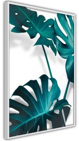 Poster Turquoise Monstera II