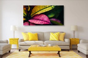 Quadro su tela – Foglie fresche
